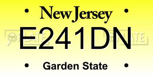E241DN New Jersey License Plate