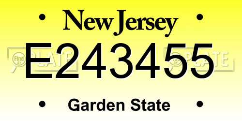 E243455 New Jersey License Plate