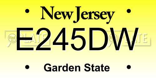 E245DW New Jersey License Plate