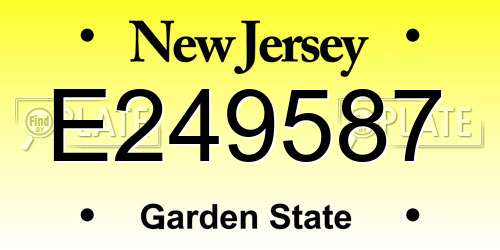 E249587 New Jersey License Plate