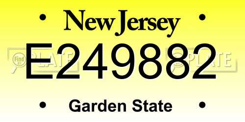 E249882 New Jersey License Plate