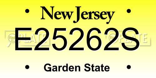 E25262S New Jersey License Plate