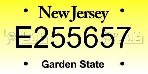 E255657 New Jersey License Plate