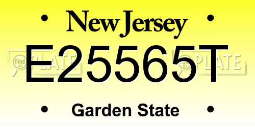 E25565T New Jersey License Plate