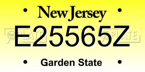 E25565Z New Jersey License Plate