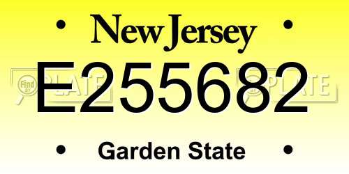 E255682 New Jersey License Plate