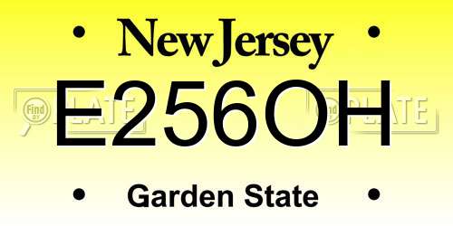 E256OH New Jersey License Plate