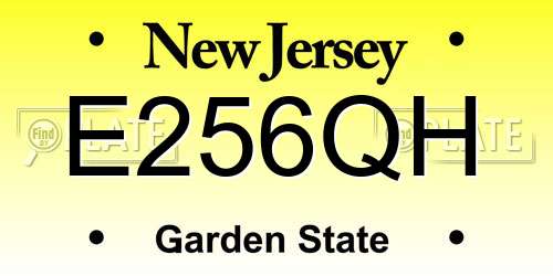 E256QH New Jersey License Plate
