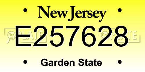 E257628 New Jersey License Plate