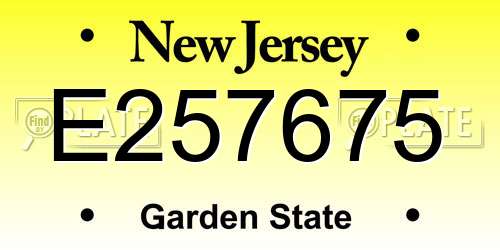 E257675 New Jersey License Plate