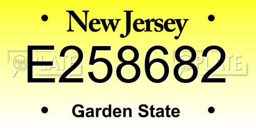 E258682 New Jersey License Plate
