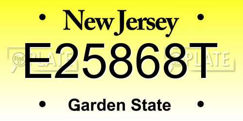 E25868T New Jersey License Plate