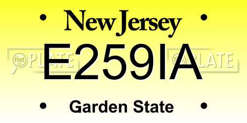 E259IA New Jersey License Plate