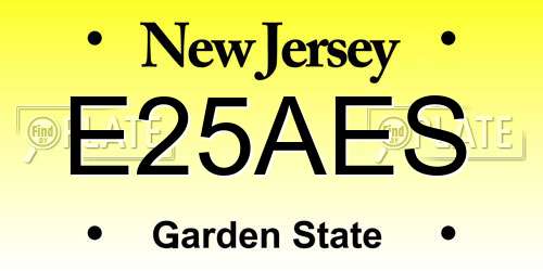 E25AES New Jersey License Plate