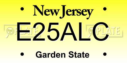 E25ALC New Jersey License Plate