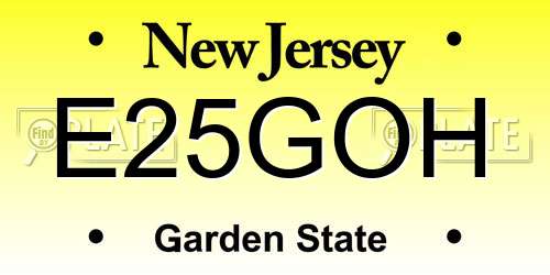 E25GOH New Jersey License Plate