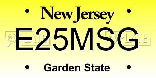 E25MSG New Jersey License Plate