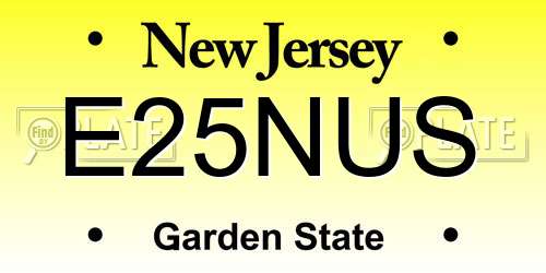 E25NUS New Jersey License Plate