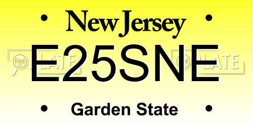 E25SNE New Jersey License Plate