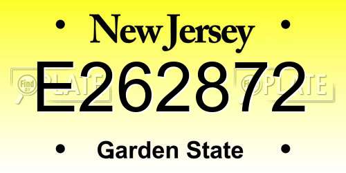 E262872 New Jersey License Plate