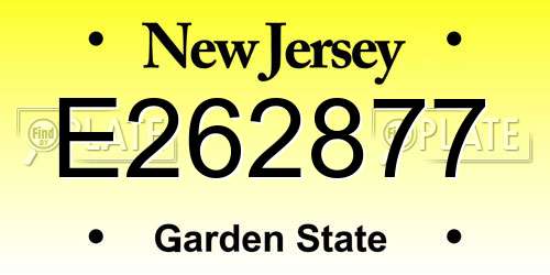 E262877 New Jersey License Plate