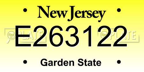 E263122 New Jersey License Plate