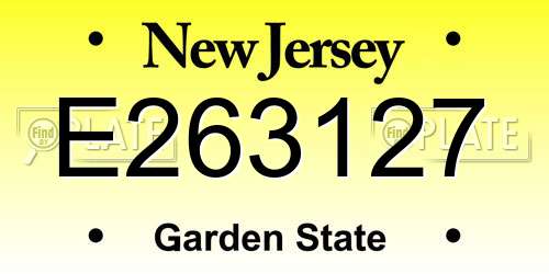 E263127 New Jersey License Plate