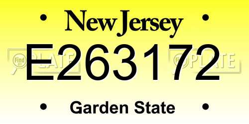 E263172 New Jersey License Plate