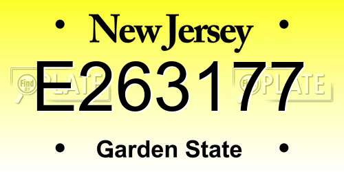 E263177 New Jersey License Plate