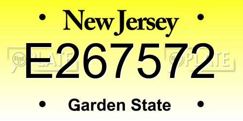 E267572 New Jersey License Plate