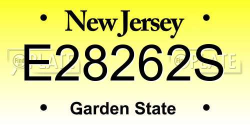 E28262S New Jersey License Plate