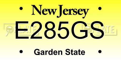 E285GS New Jersey License Plate