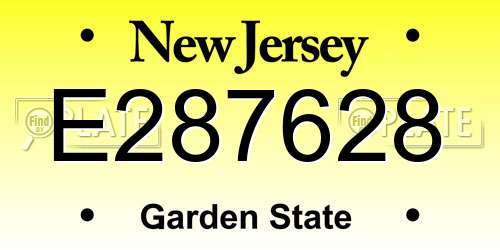 E287628 New Jersey License Plate
