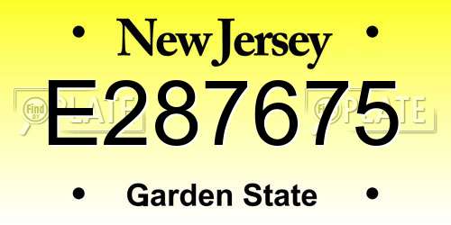 E287675 New Jersey License Plate