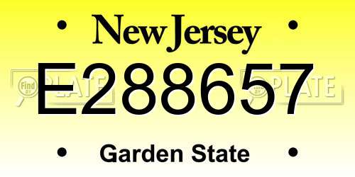 E288657 New Jersey License Plate