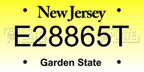 E28865T New Jersey License Plate