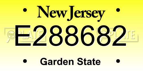 E288682 New Jersey License Plate