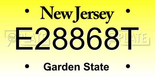 E28868T New Jersey License Plate