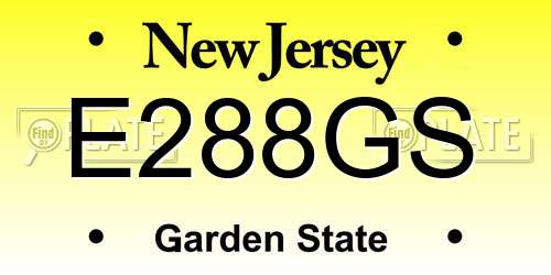 E288GS New Jersey License Plate