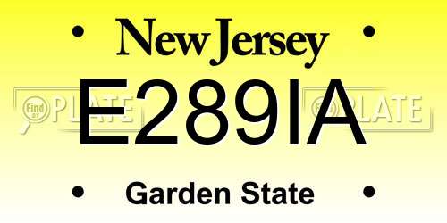 E289IA New Jersey License Plate