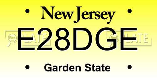E28DGE New Jersey License Plate