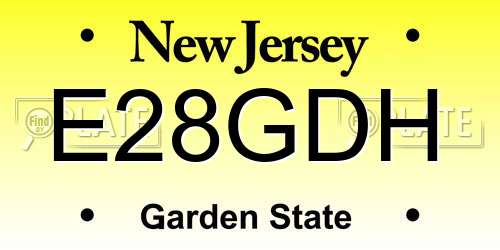 E28GDH New Jersey License Plate