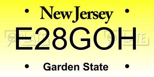 E28GOH New Jersey License Plate