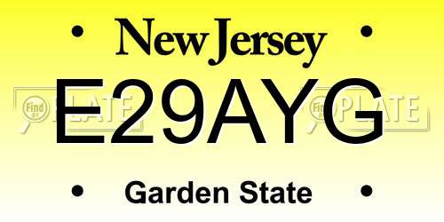 E29AYG New Jersey License Plate