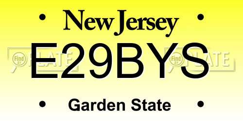 E29BYS New Jersey License Plate