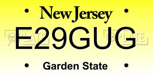 E29GUG New Jersey License Plate