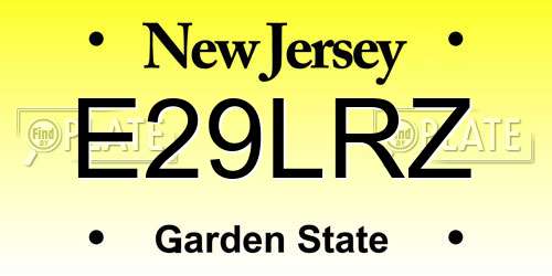 E29LRZ New Jersey License Plate