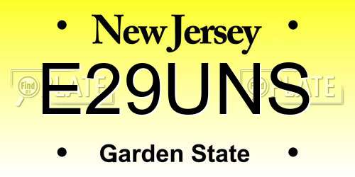 E29UNS New Jersey License Plate
