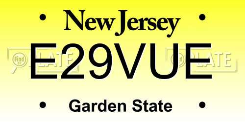 E29VUE New Jersey License Plate