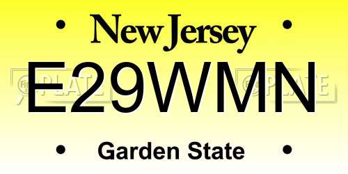 E29WMN New Jersey License Plate